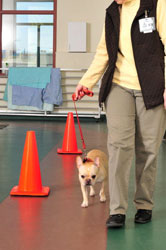 Training Training
