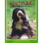 Rosie, A Visiting Dogs Story